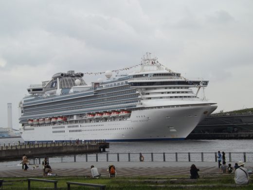 Семь россиян с лайнера Diamond Princess сейчас на карантине в Приморье