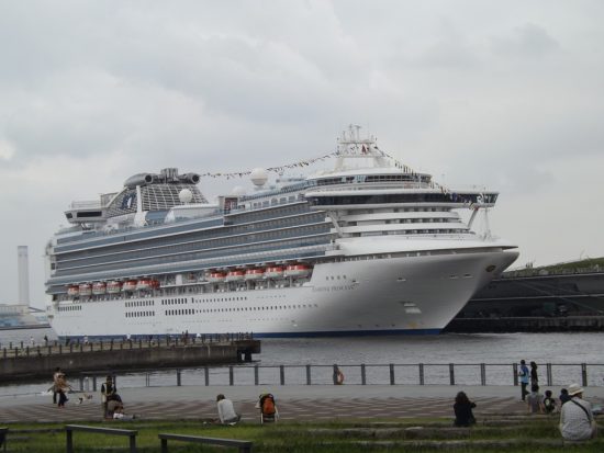 Семь россиян с лайнера Diamond Princess сейчас на карантине в Приморье