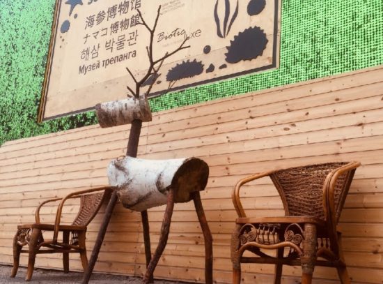 Более 100 тысяч туристов посетили Музей трепанга во Владивостоке