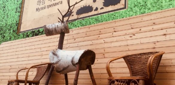 Более 100 тысяч туристов посетили Музей трепанга во Владивостоке