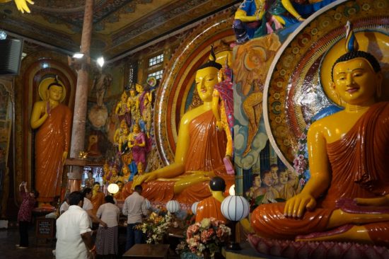 Чартеры на Шри Ланку предлагают хабаровчанам