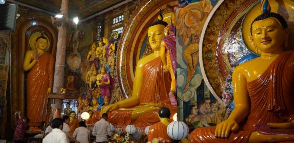 Чартеры на Шри Ланку предлагают хабаровчанам