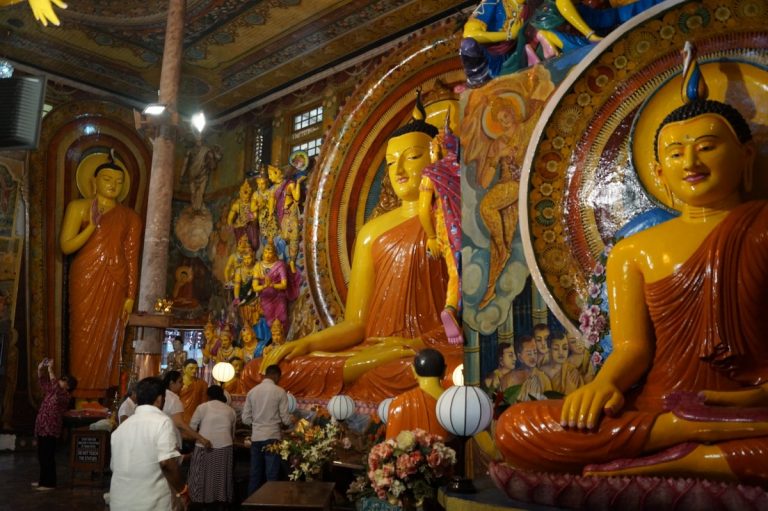 Чартеры на Шри Ланку предлагают хабаровчанам