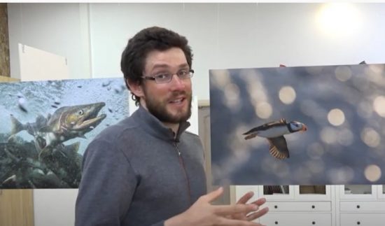 Природа Командорских островов через объектив французского фотографа Натана Ливартовски