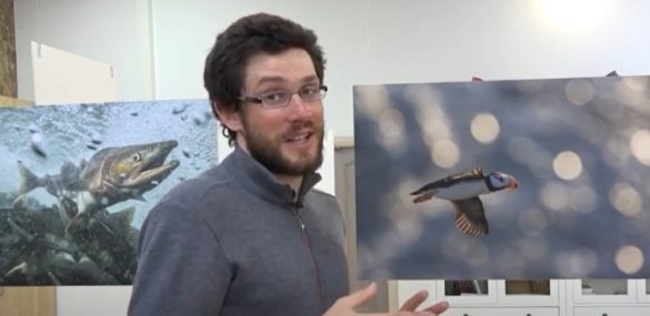 Природа Командорских островов через объектив французского фотографа Натана Ливартовски