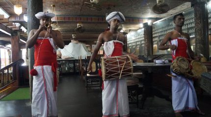 На Шри-Ланке посчитали иностранных туристов