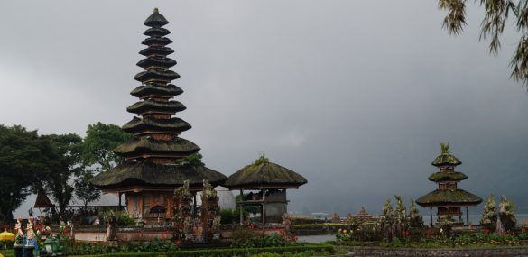 Приморцев готовятся вывозить с пляжного Бали