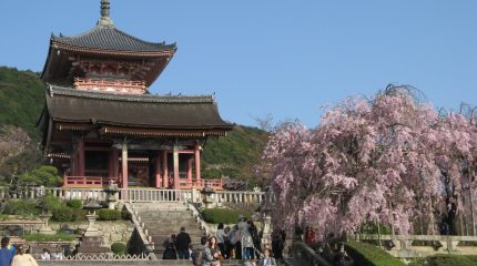 Дальневосточники притормозили падение турпотока из России в Японию