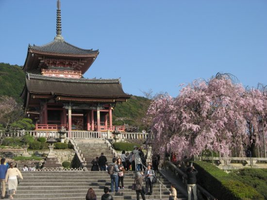 Дальневосточники притормозили падение турпотока из России в Японию