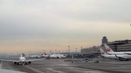 Приморцев возможно вывезут из Японии 21 апреля