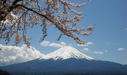 Фудзи в этом году будет недоступна для туристов