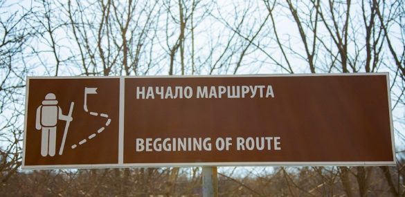 Остров Попова сделают удобным для туристов и отдыхающих