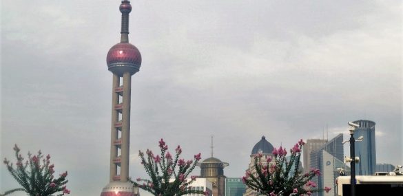 Более 7 млн. туристов посетило Шанхай в майские праздники