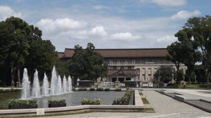 В Японии хотят продлить режим ЧС, но открыть для публики часть парков и музеев