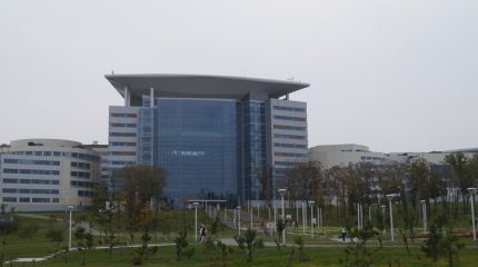 Тихоокеанский туристский форум в этом году пройдёт в онлайн-режиме