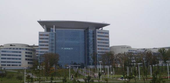 Тихоокеанский туристский форум в этом году пройдёт в онлайн-режиме