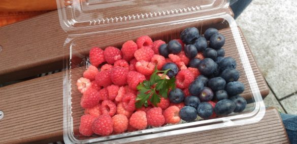 Летний фестиваль ягод и сыра «Сделано в Приморье» состоится во Владивостоке в июле