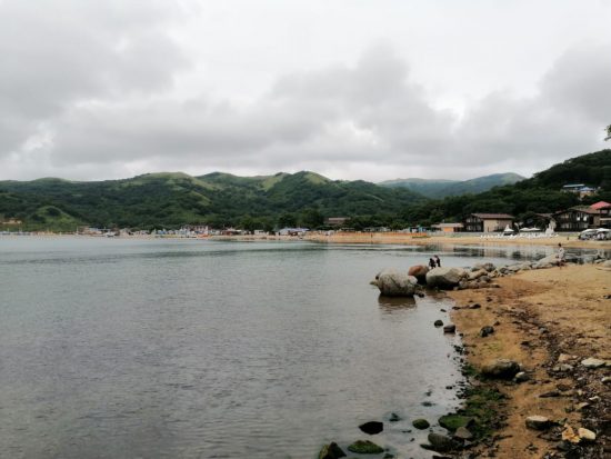 В приморской Андреевке началась «зачистка» баз отдыха