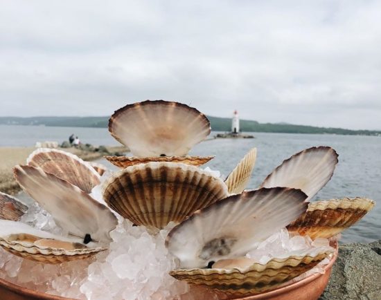 Владивосток вознесся на гребень – вкусный фестиваль «пошел» по стране