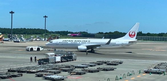 Japan Airlines выполнила два репатриационных рейса между Токио и Владивостоком