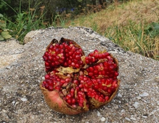 Фестиваль «Каспий — море дружбы» или вот ты какой, Дербент!