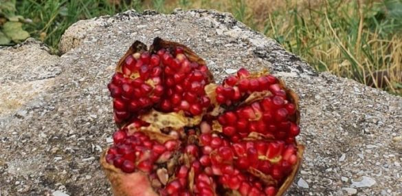 Фестиваль «Каспий — море дружбы» или вот ты какой, Дербент!