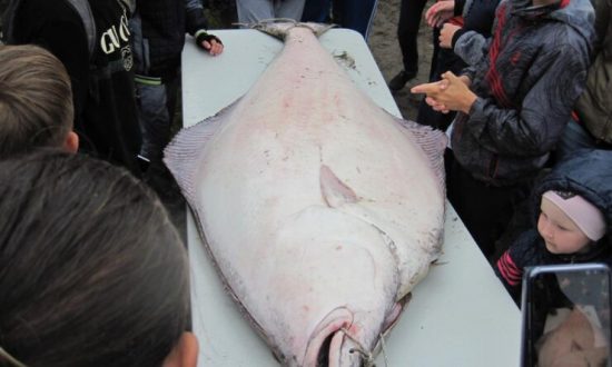 Гастрономический фестиваль «День палтуса» прошел на Курилах