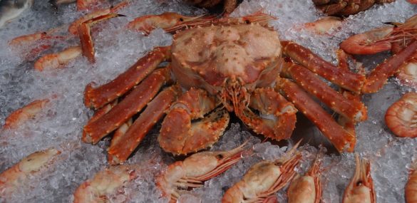 20 приморских ресторанов примут участие в юбилейном фестивале краба