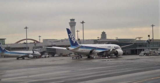 После полугодового перерыва авиакомпания ANA возобновит полеты на Гавайи