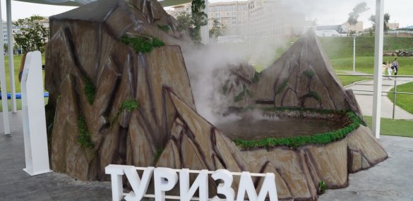 МИД РФ просит россиян не торопиться с поездками по миру