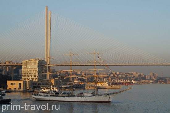 Приморье ведет борьбу за привлечение в край популярных блогеров для съемок фильмов