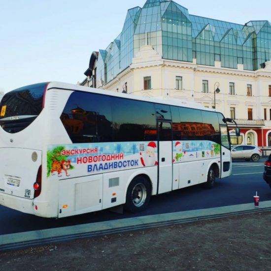 Владивостокцев и гостей города приглашают на новогодние экскурсии с Дедом морозом и подарками