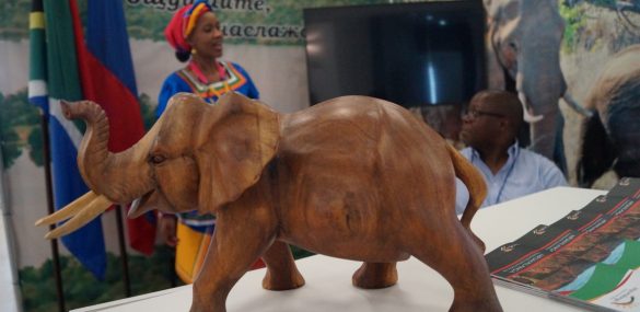 Туризм может стать связующим звеном в отношениях между Приморьем и ЮАР