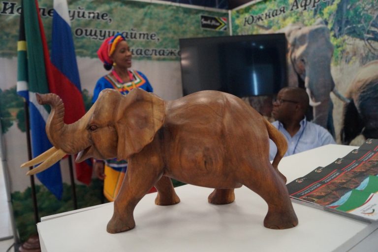 Туризм может стать связующим звеном в отношениях между Приморьем и ЮАР