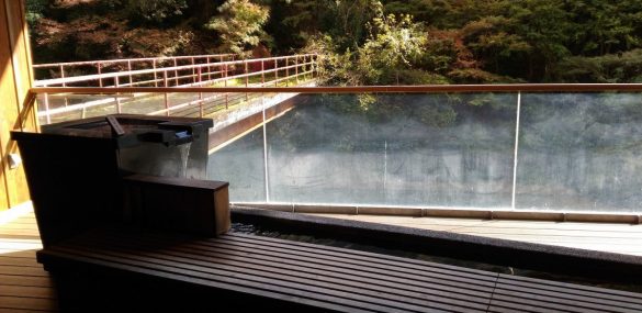 Курорты международного уровня хотят создать на Дальнем Востоке в пику санаториям с мировой известностью