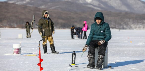 Фестиваль корюшки в Приморье: от авторских блюд в ресторанах до народной рыбалки
