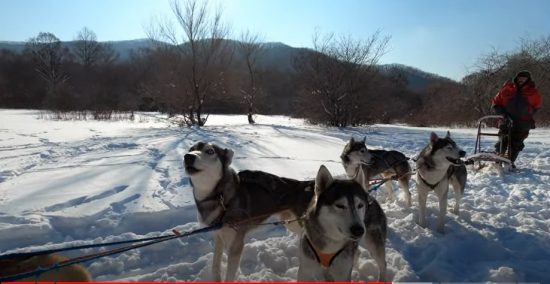 Россияне поехали в Приморье на новогодние праздники
