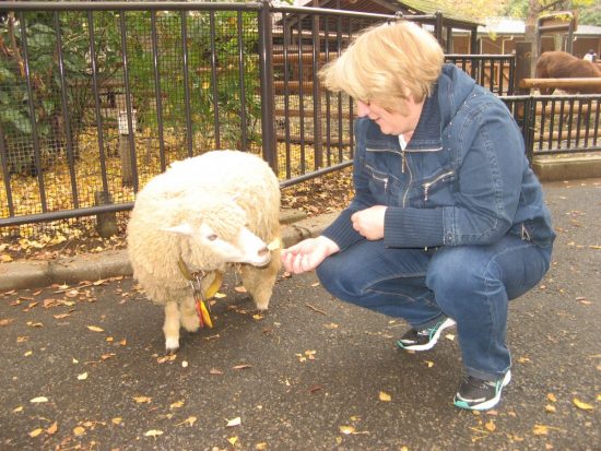 Фермеры Приморья настроены развивать агротуризм