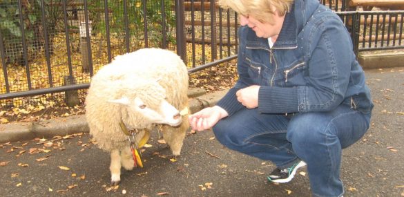 Фермеры Приморья настроены развивать агротуризм