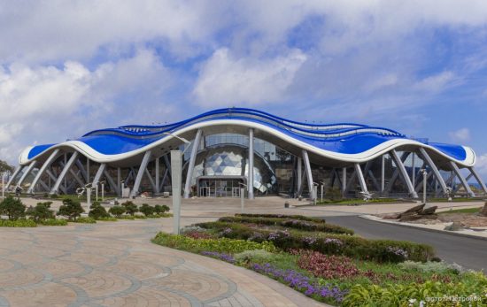 Территория Приморского океанариума может изменить свой облик