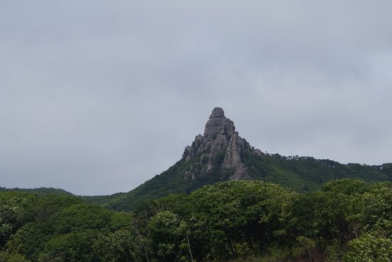 Туристов на MITT заинтересовала Уссурийская тайга и заповедники Приморья