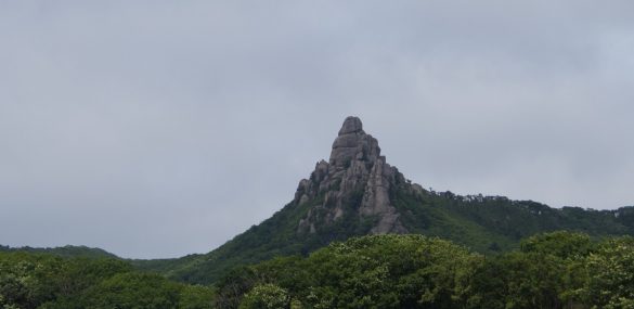 Туристов на MITT заинтересовала Уссурийская тайга и заповедники Приморья