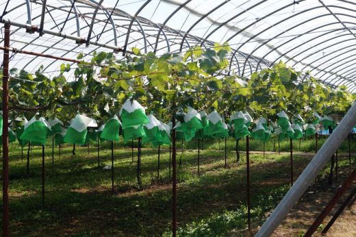 В планах приморцев развивать туризм на втором ДВ-гектаре