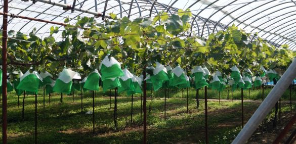 В планах приморцев развивать туризм на втором ДВ-гектаре