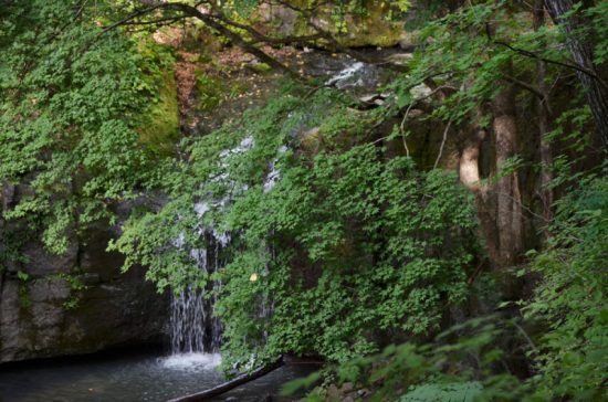 В Приморье благоустроят Кравцовские водопады