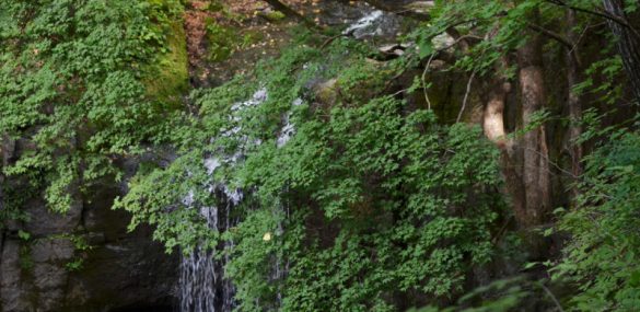 В Приморье благоустроят Кравцовские водопады