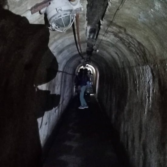 «Ночь музеев» вновь накроет Приморье