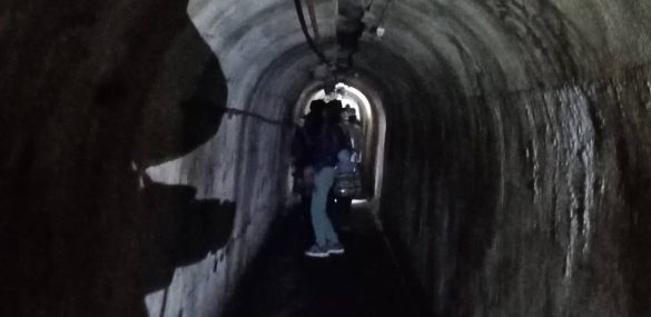 «Ночь музеев» вновь накроет Приморье