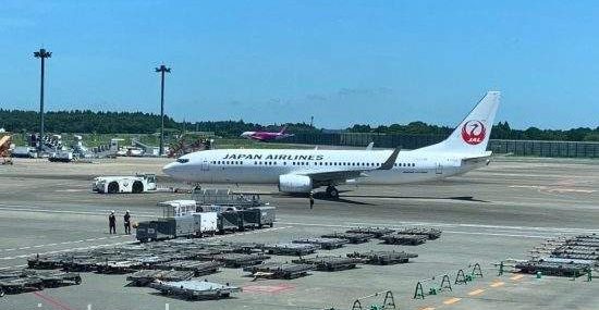 JAL хоть и откладывает полеты во Владивосток, но активно готовится к мирному периоду