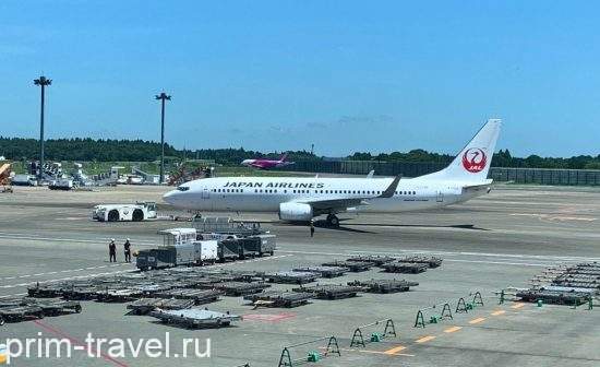 JAL хоть и откладывает полеты во Владивосток, но активно готовится к мирному периоду